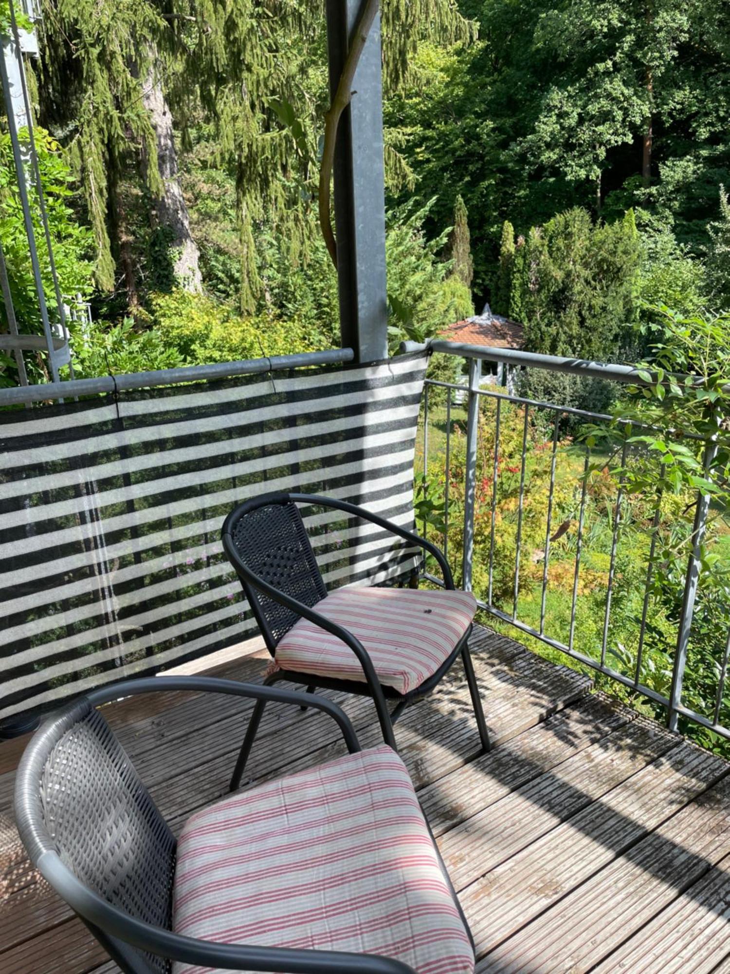 Stadt- Naturnah, Traumblick Und Balkon Baden-Baden Eksteriør billede